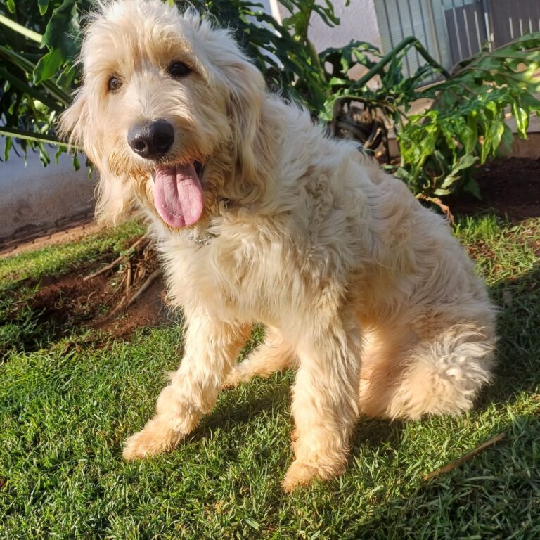1000263992